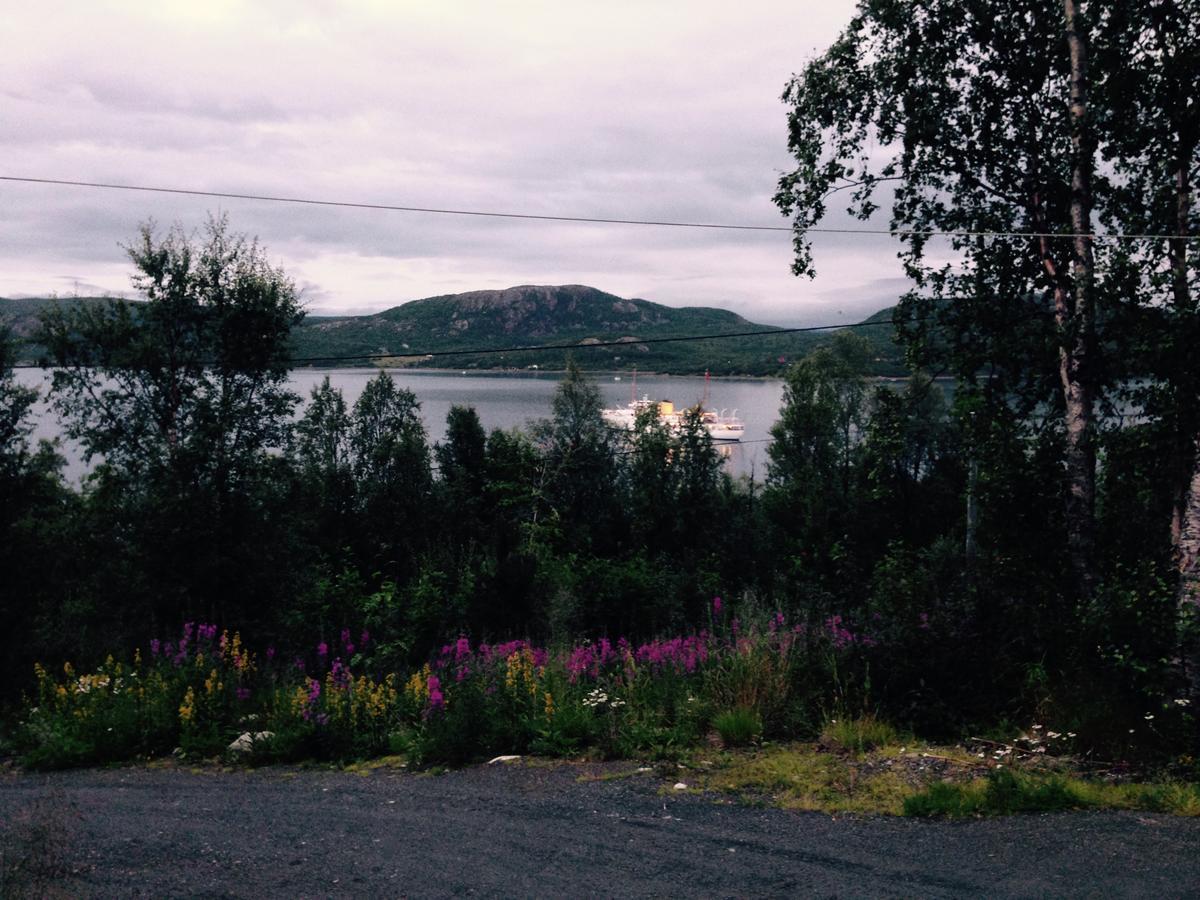 Jarfjord Arctic Aurora Lodge Karpbukt Exterior foto